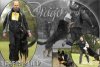 V Drago vom Patriot (GMY) SchH.3 - Frozen Semen