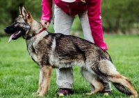 Jira Ja Na Ka (Imp CZE)