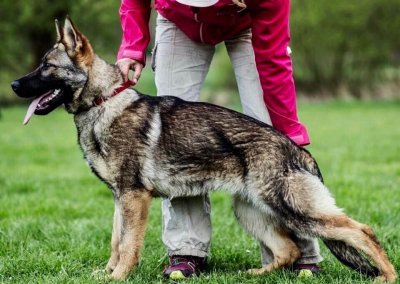 Jira Ja Na Ka (Imp CZE)